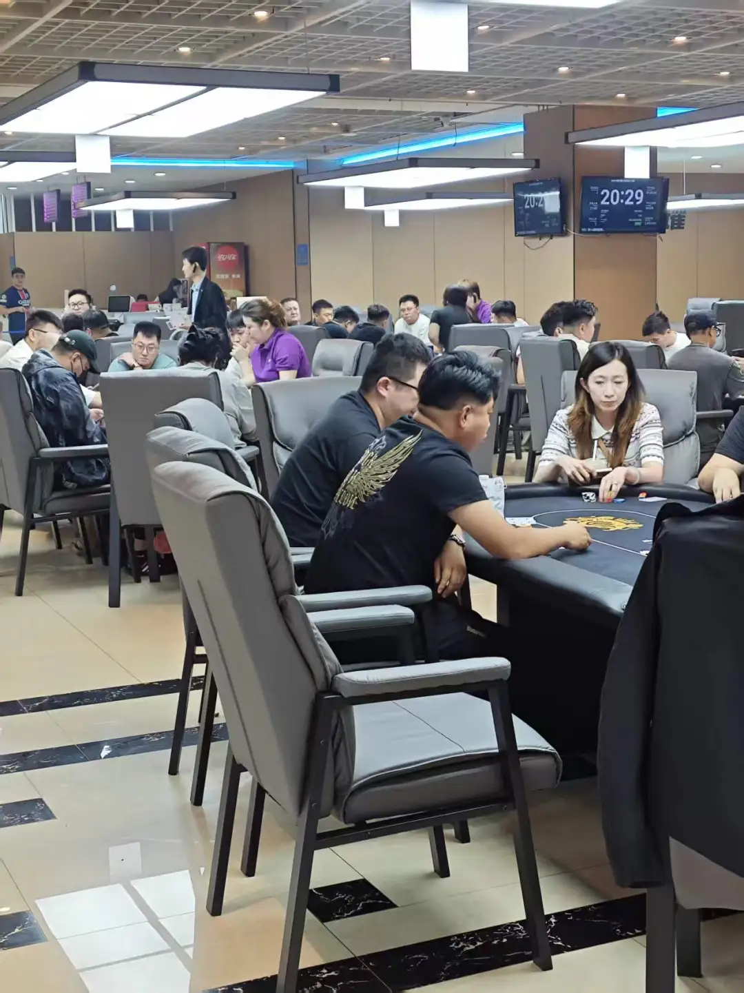 DBPT城市智力竞技S1赛季 | 战火升级!213人征战主赛B组,王商舜登顶“新东北王”