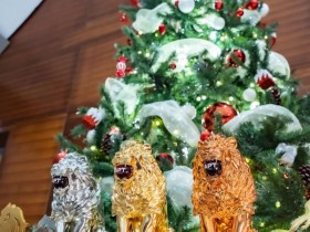 APT河内丨Chu Van Tien 胜出破纪录越南国家杯;APT超级豪客赛、神秘赏金赛皆大破纪录