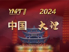 彩云杯 | 2024YNPT®大理站畅游赛酒店于12月27日接受预订