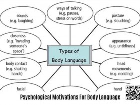 《卡罗的马脚大全》精华内容总结,一篇文章读懂一本书!